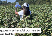 A researcher works in a cotton field in Jenkins County, Georgia, as part of a project on AI and pesticide use. Dorothy Seybold